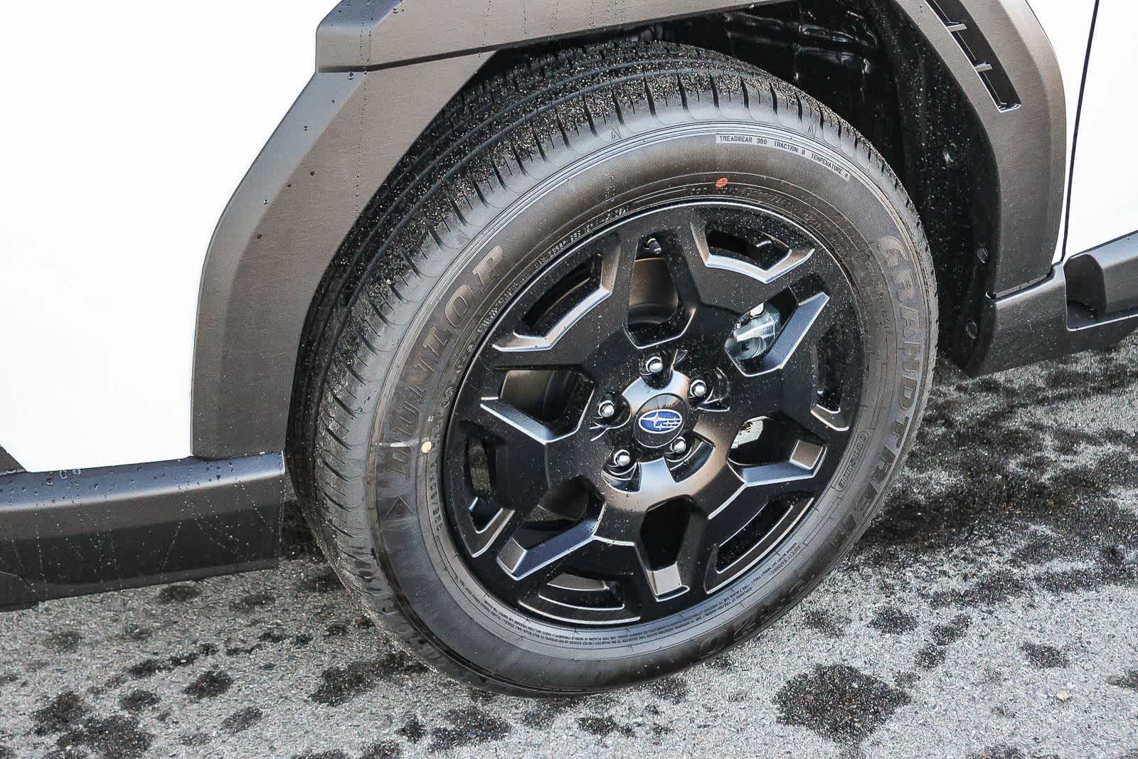 Thumbnail: 2026 Subaru Outback - 10