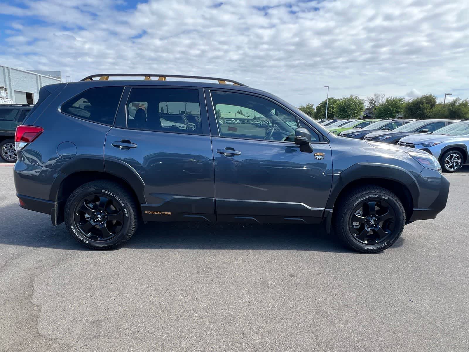 Thumbnail: 2025 Subaru Forester - 10