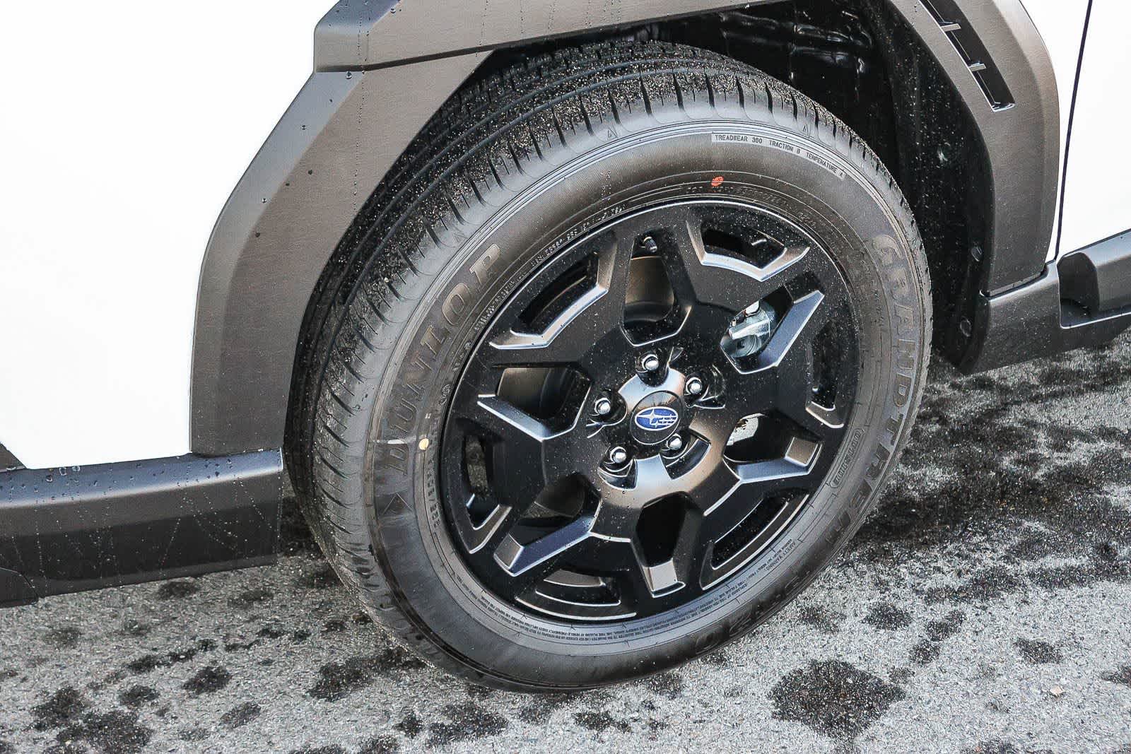 Thumbnail: 2026 Subaru Outback - 10