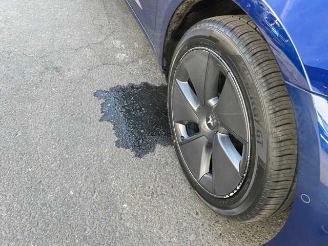 Thumbnail: 2022 Tesla Model 3 - 23