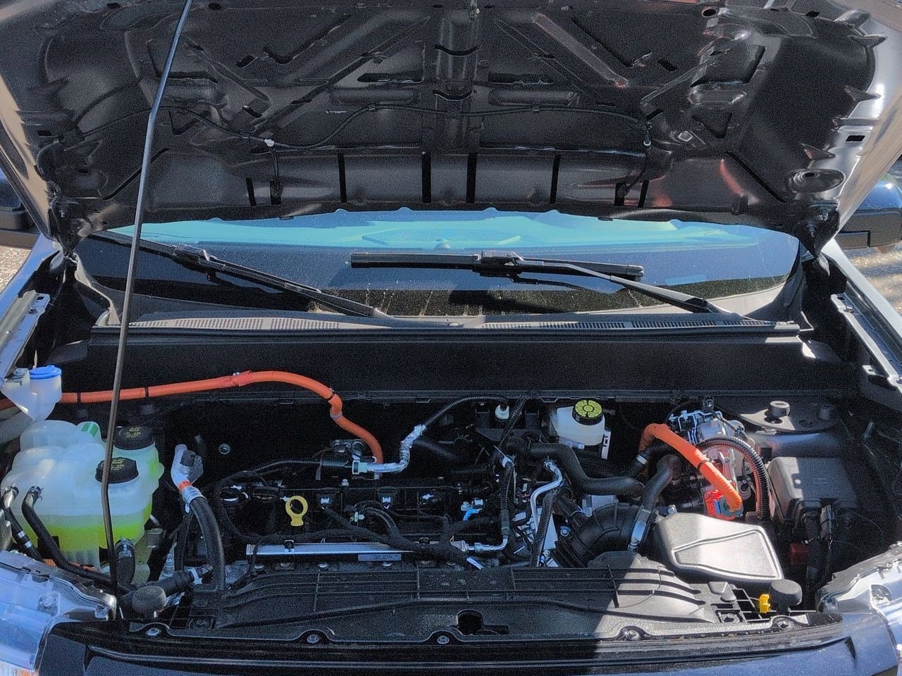 Thumbnail: 2025 Ford Maverick - 14