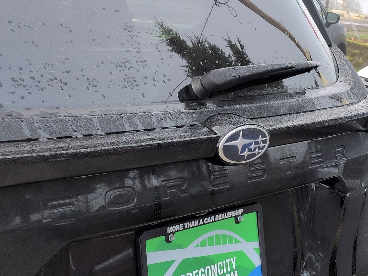 Thumbnail: 2026 Subaru Forester - 13