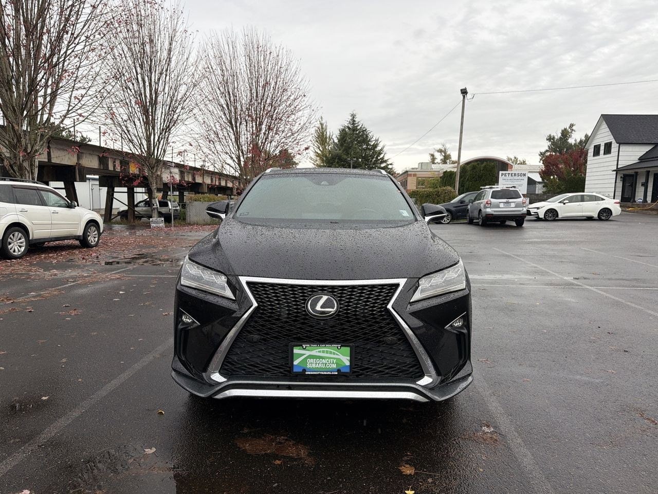 Thumbnail: 2017 Lexus RX - 17