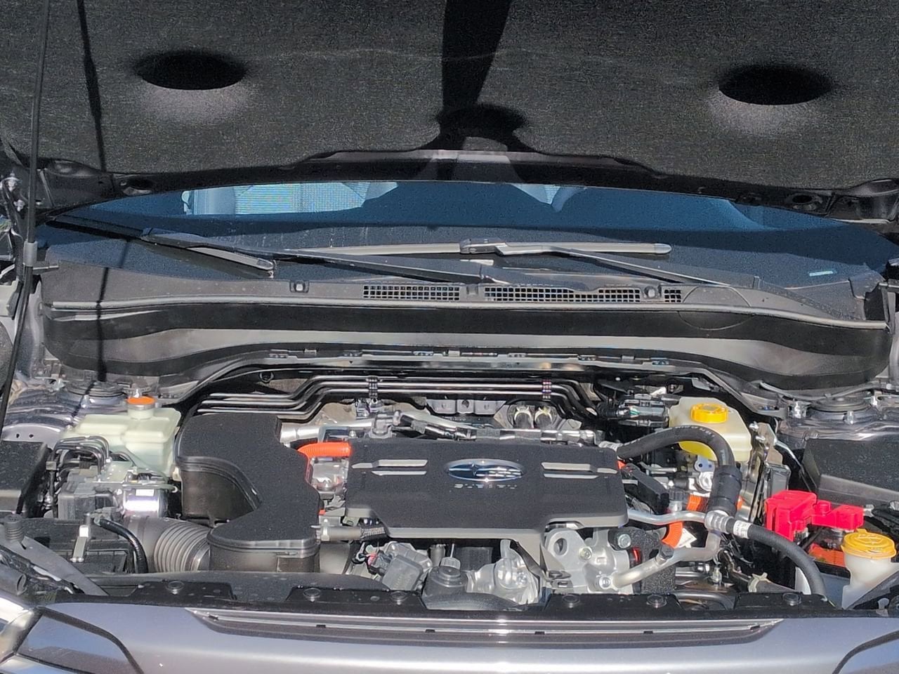 Thumbnail: 2025 Subaru Forester - 15