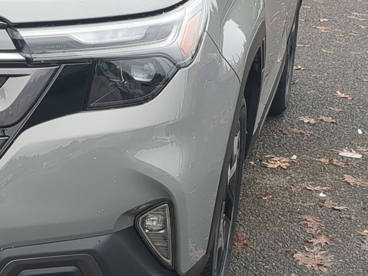 Thumbnail: 2026 Subaru Forester - 11