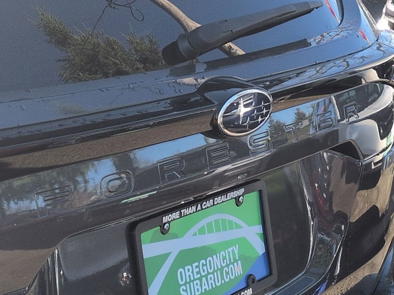 Thumbnail: 2025 Subaru Forester - 13