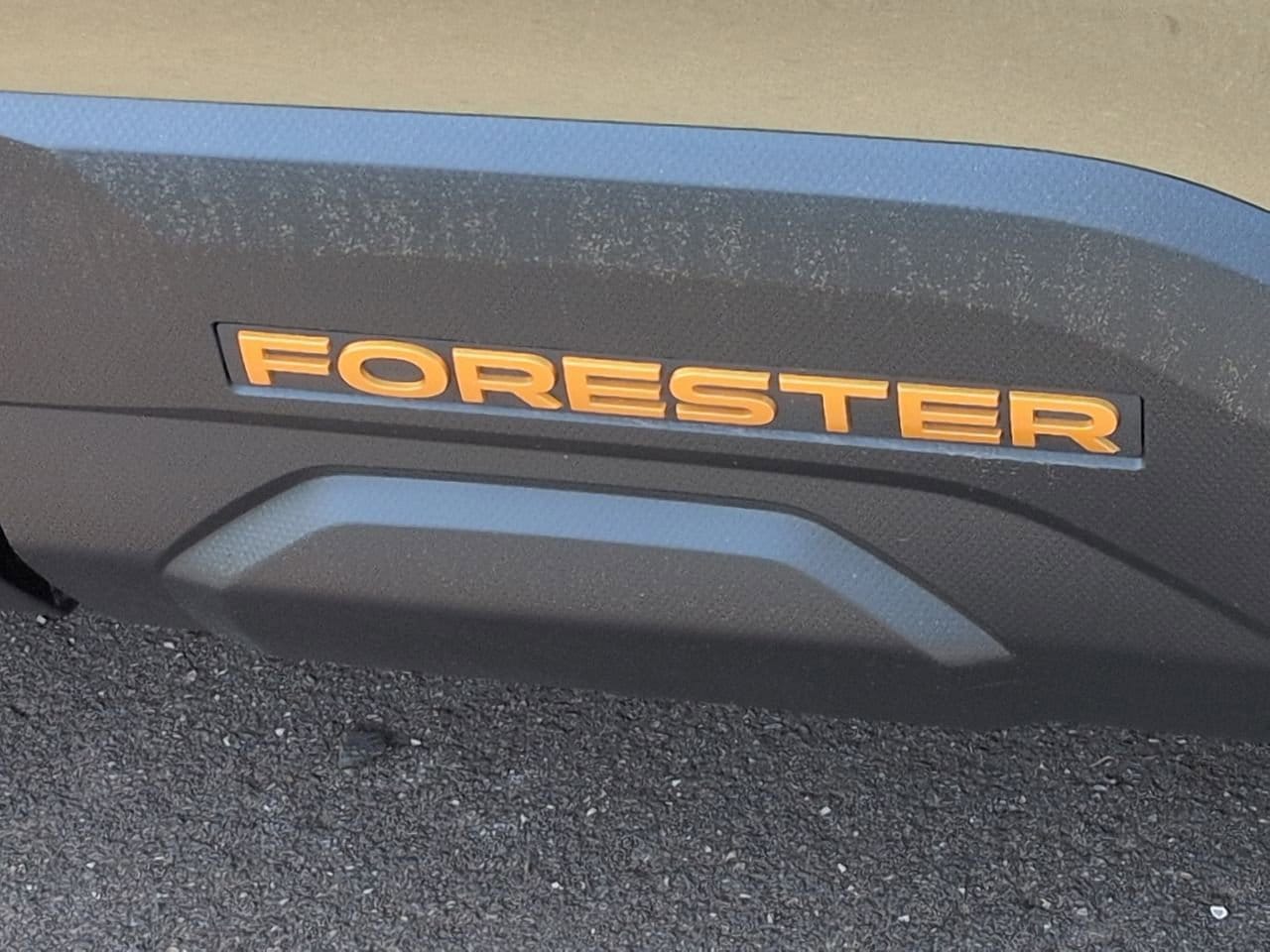 Thumbnail: 2026 Subaru Forester - 13