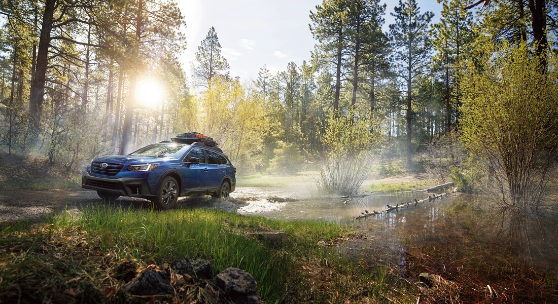 blue Subaru Outback SUV in a wooded, sunlit area with camping gear on the roof rack