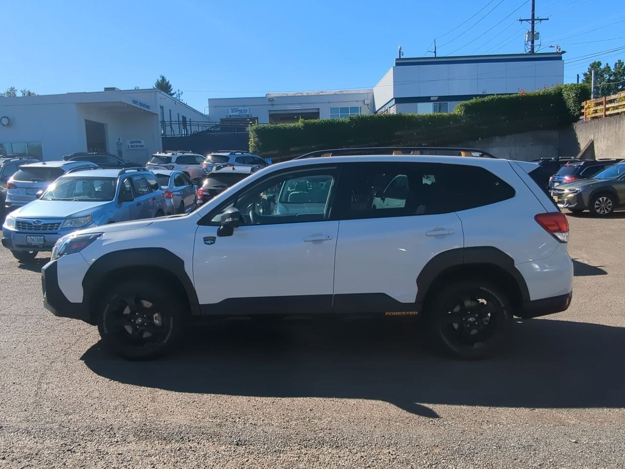 Thumbnail: 2023 Subaru Forester - 11