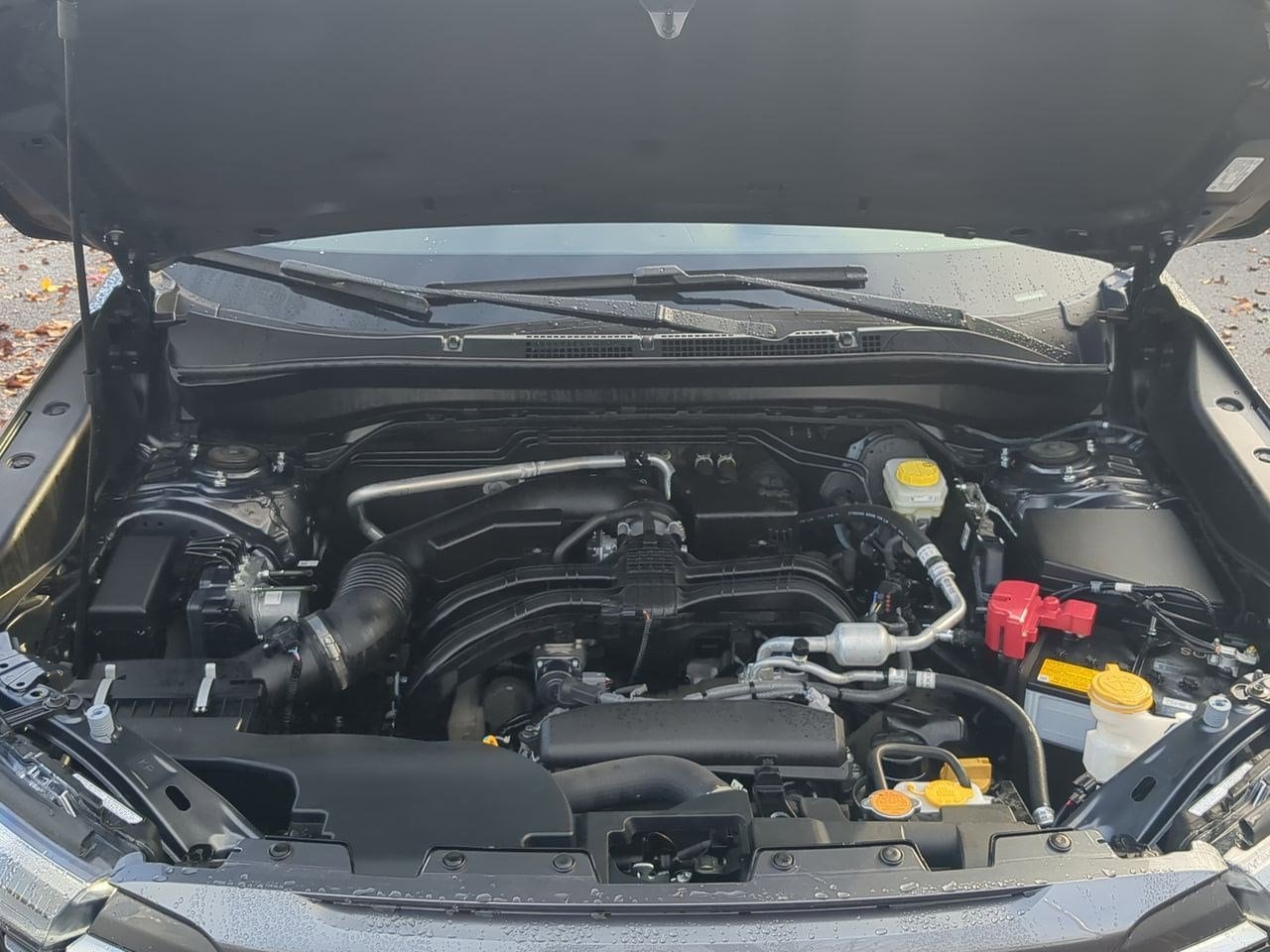 Thumbnail: 2025 Subaru Forester - 15