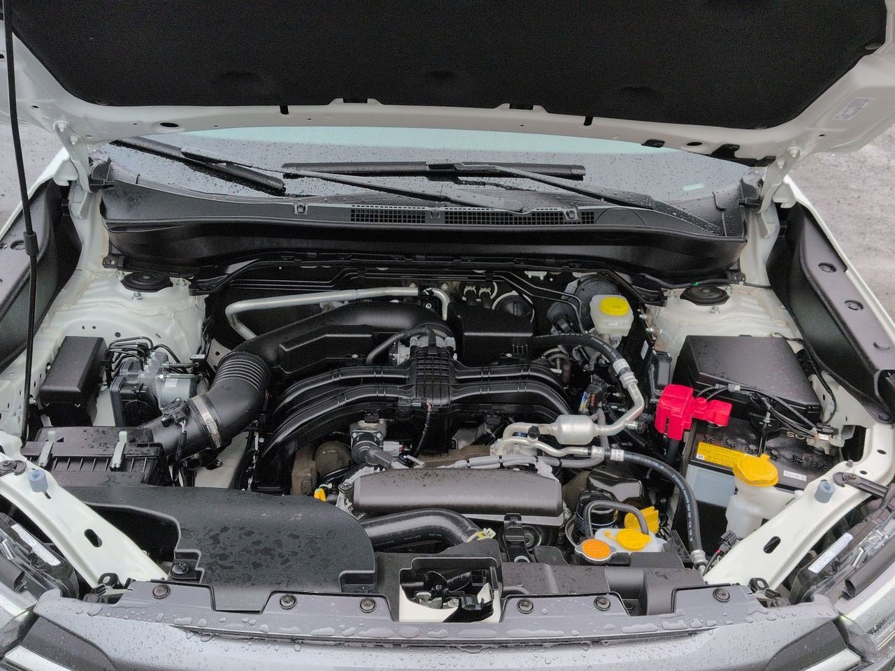 Thumbnail: 2025 Subaru Forester - 15