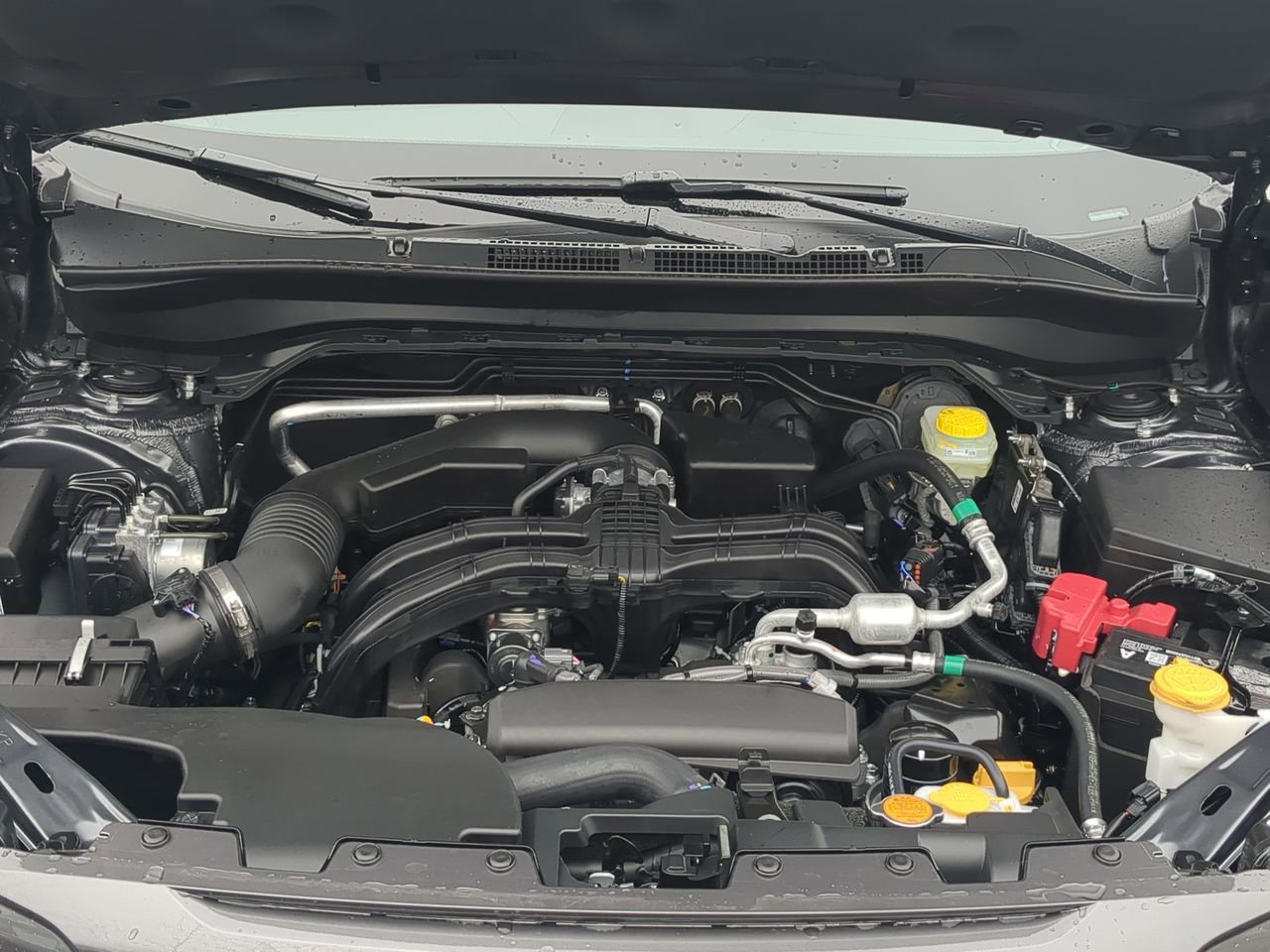 Thumbnail: 2026 Subaru Forester - 15