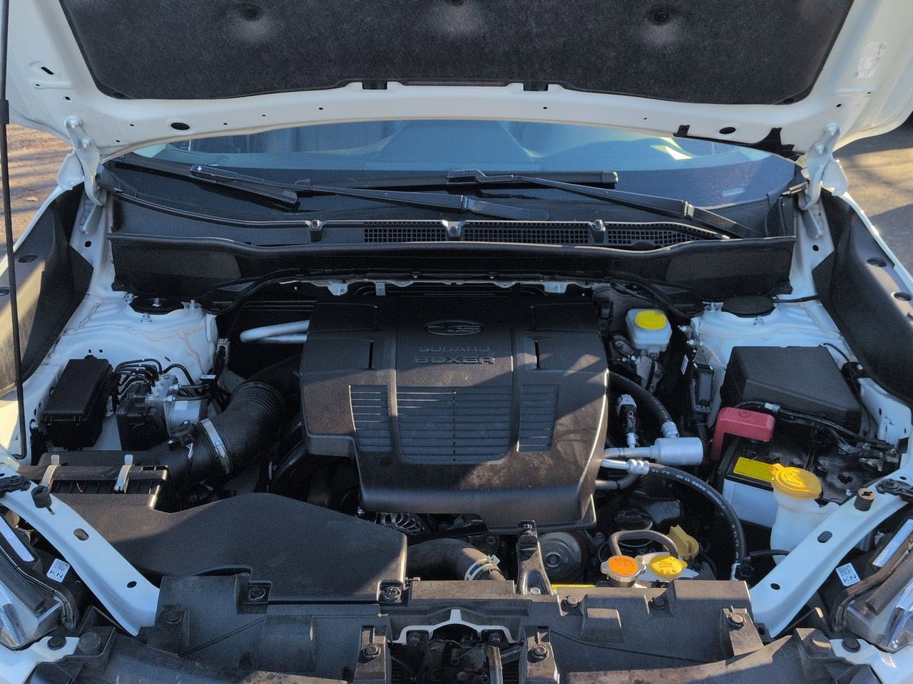 Thumbnail: 2022 Subaru Forester - 15