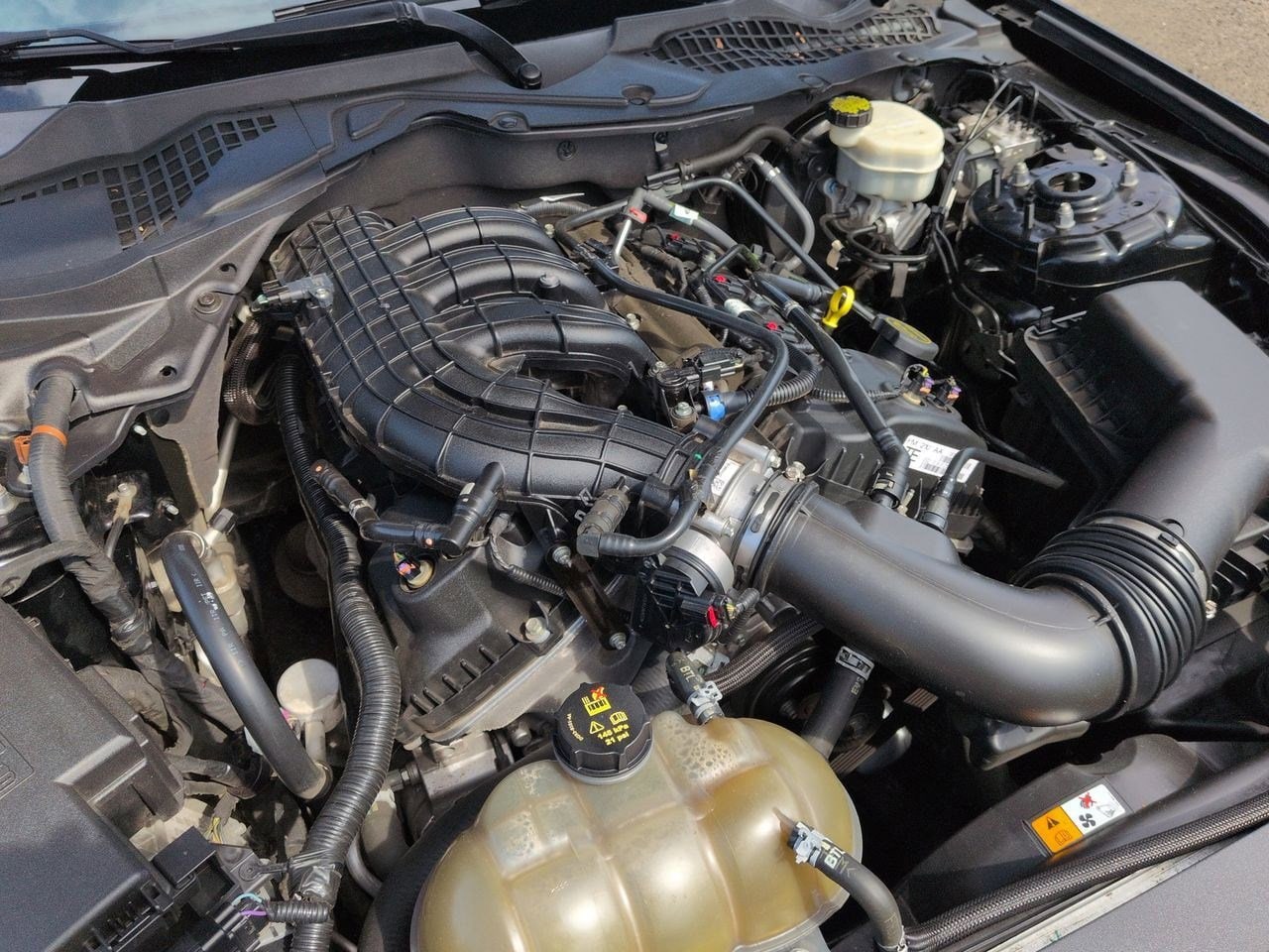 Thumbnail: 2015 Ford Mustang - 14
