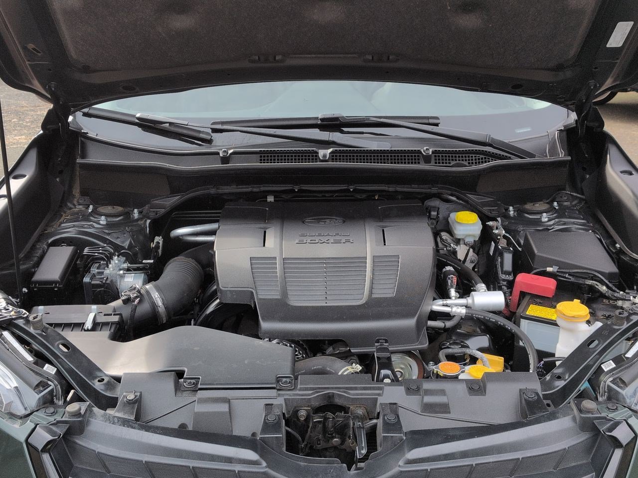 Thumbnail: 2022 Subaru Forester - 15