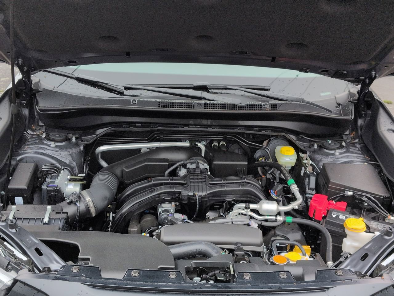 Thumbnail: 2026 Subaru Forester - 14