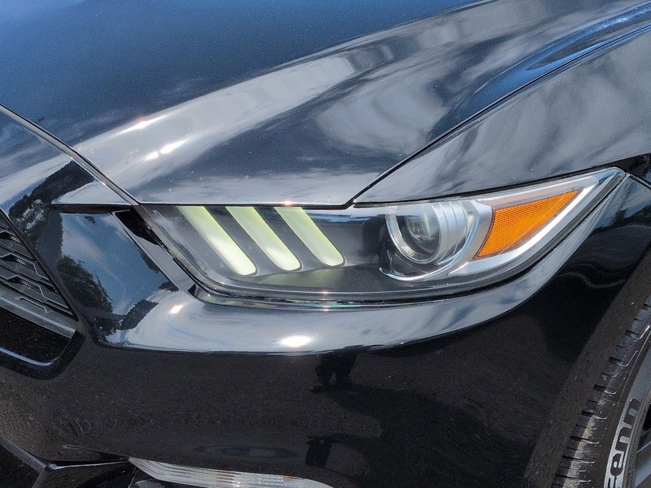 Thumbnail: 2015 Ford Mustang - 11
