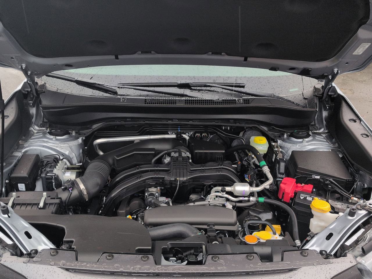 Thumbnail: 2026 Subaru Forester - 15