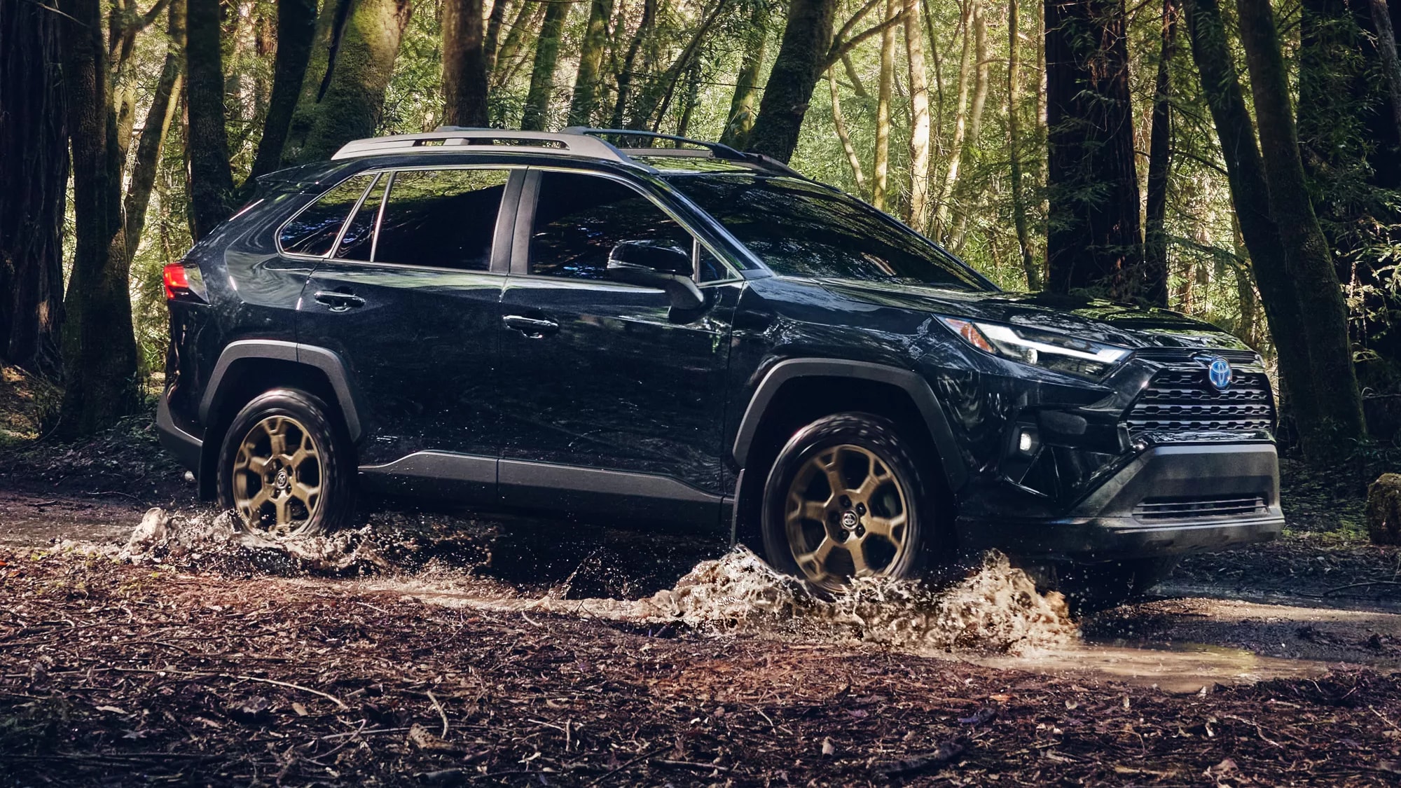 dark blue Toyota RAV4 splashing through a forest road
