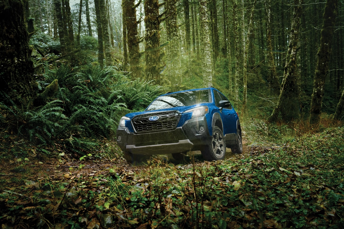 blue Subaru Forester SUV Wilderness edition, driving on a lush, green forest trail