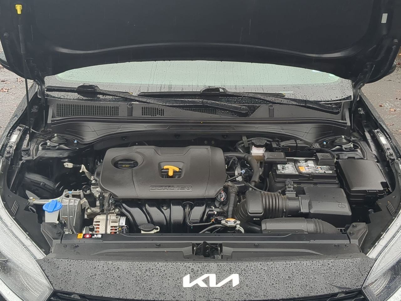 Thumbnail: 2024 Kia Forte - 14