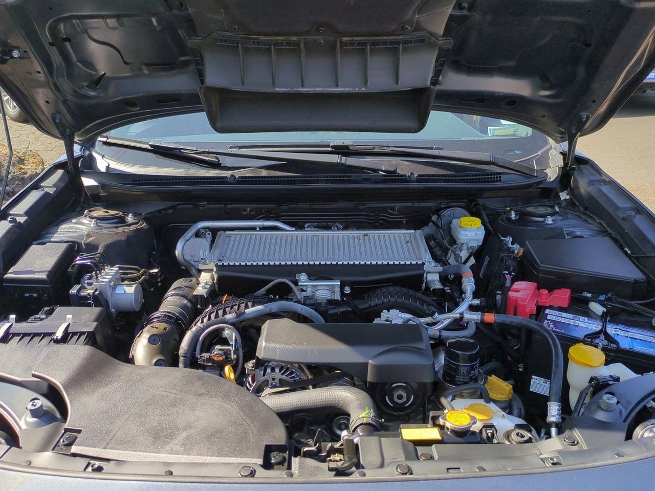 2024 Subaru Outback Wilderness 15