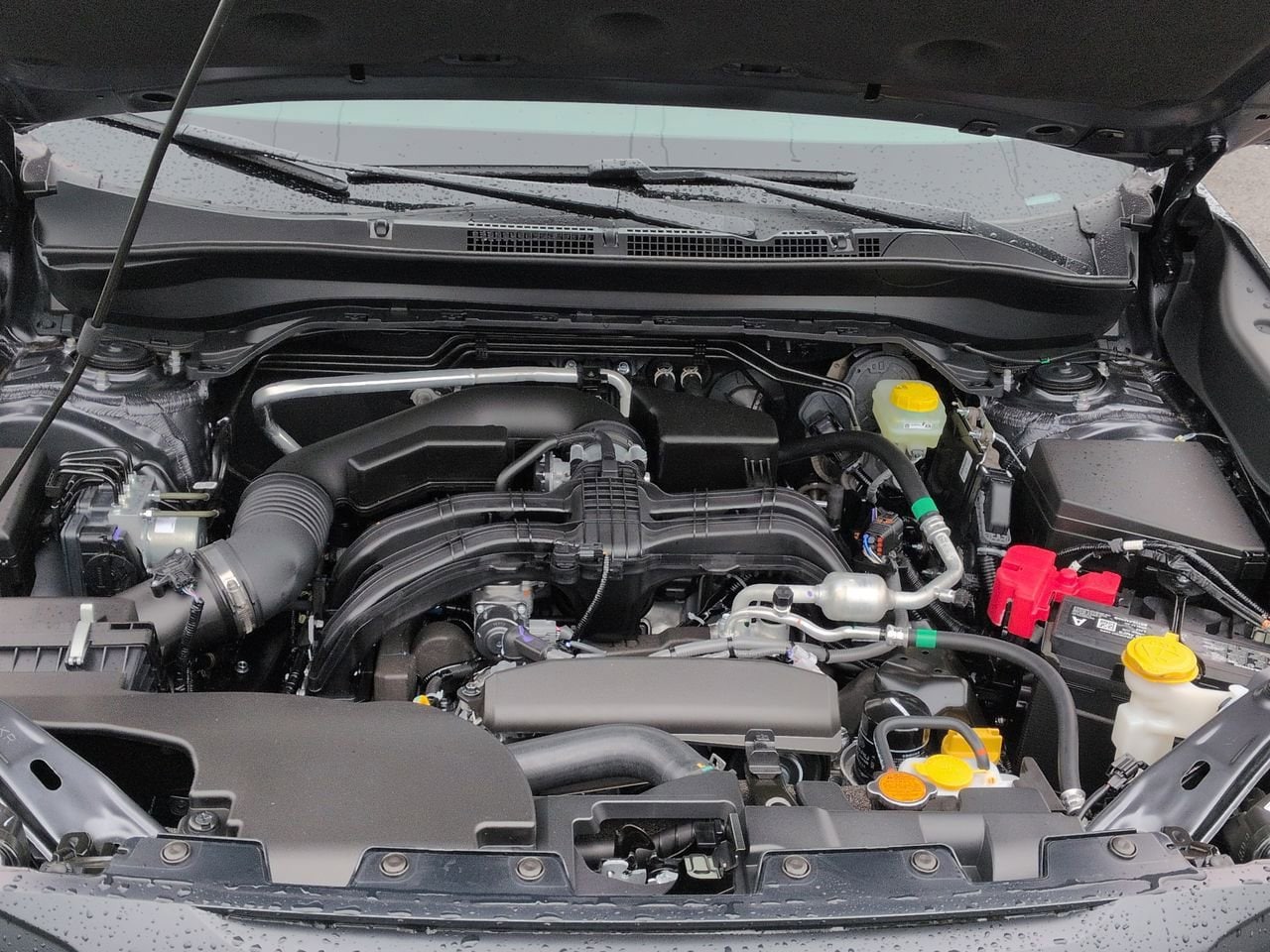 Thumbnail: 2026 Subaru Forester - 14