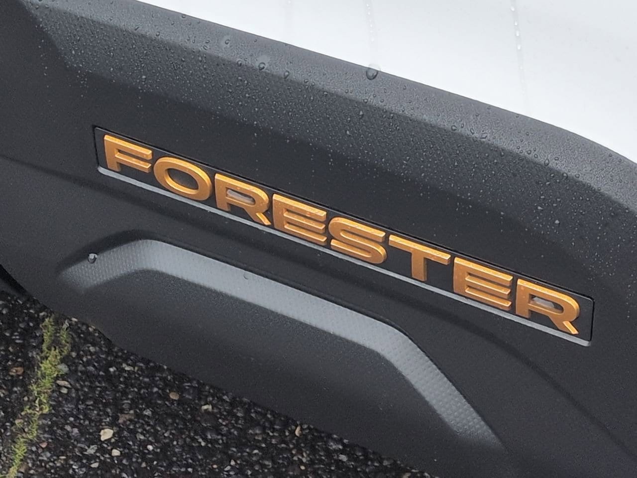 Thumbnail: 2026 Subaru Forester - 13