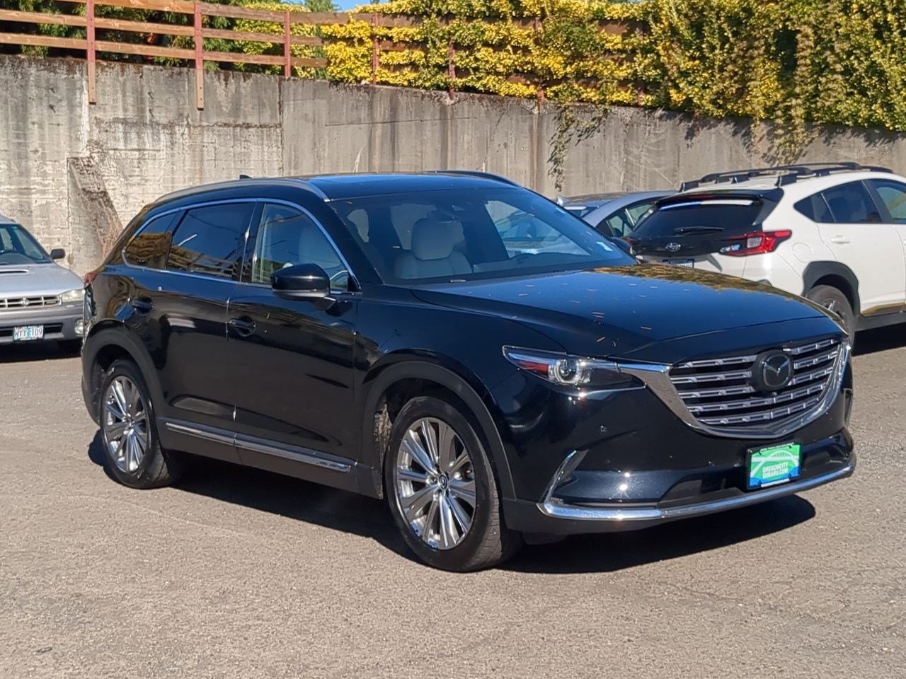 Thumbnail: 2022 Mazda CX-9 - 16