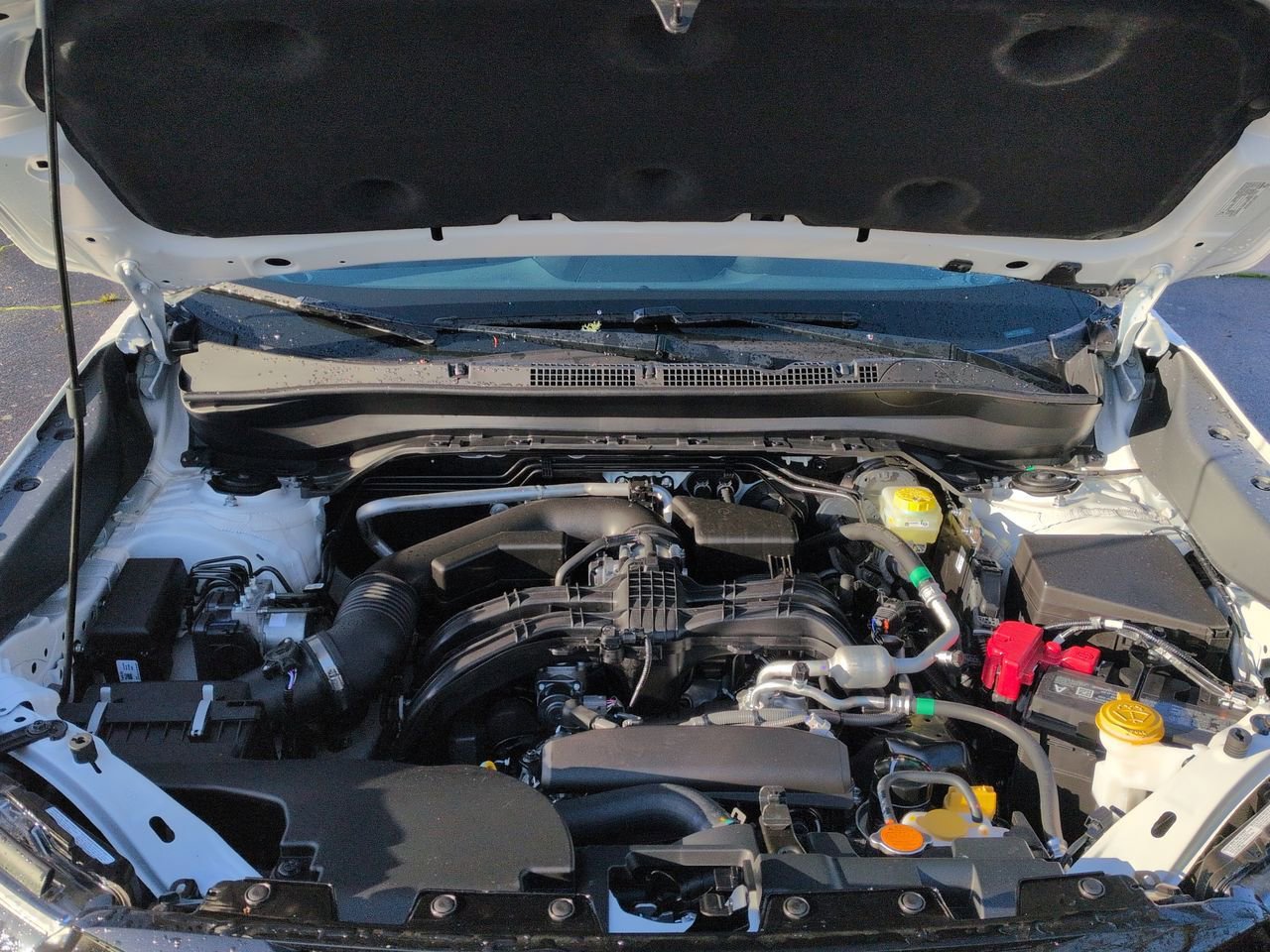 Thumbnail: 2026 Subaru Forester - 15