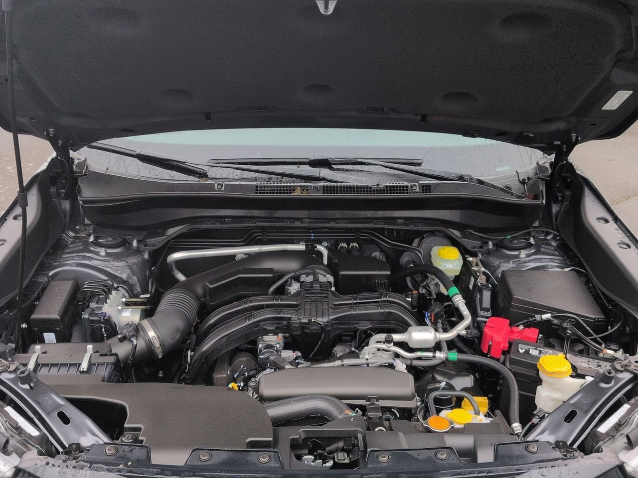 Thumbnail: 2026 Subaru Forester - 14