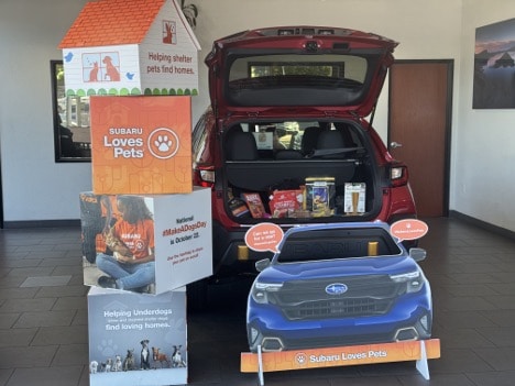 Picture8_SubaruLovesPets_trunk.jpg