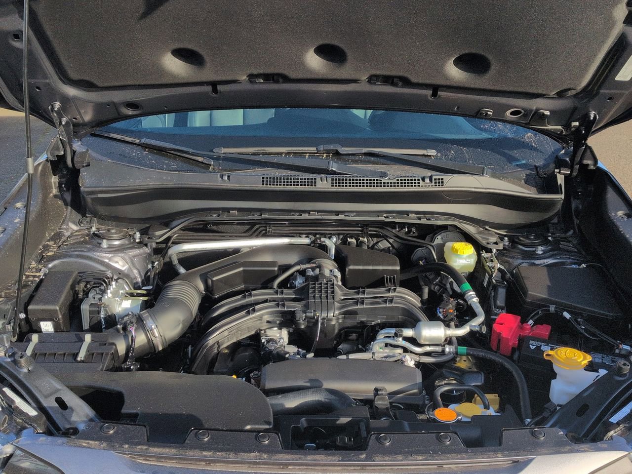 Thumbnail: 2026 Subaru Forester - 15