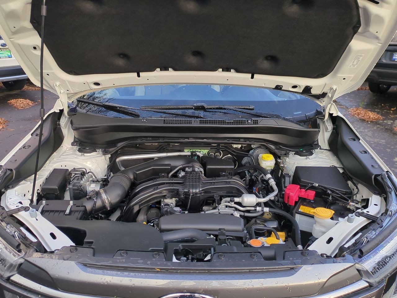 Thumbnail: 2025 Subaru Forester - 15