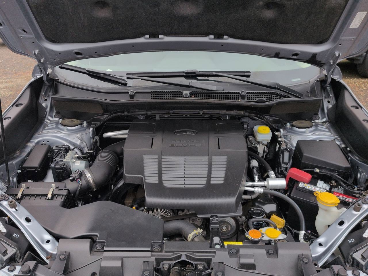 Thumbnail: 2022 Subaru Forester - 15