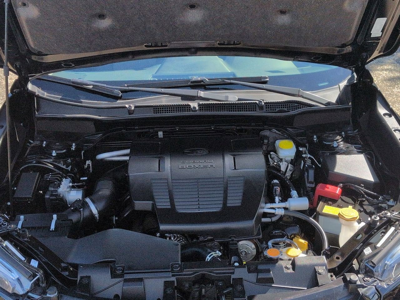 Thumbnail: 2024 Subaru Forester - 15