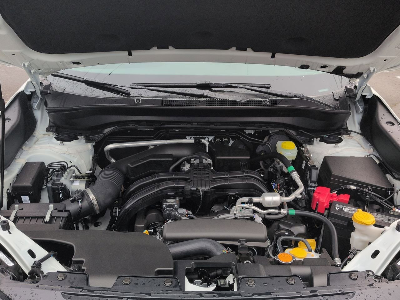 Thumbnail: 2026 Subaru Forester - 15