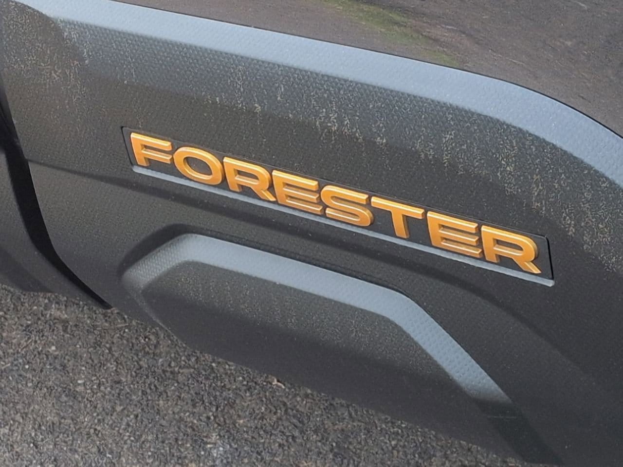 Thumbnail: 2026 Subaru Forester - 13