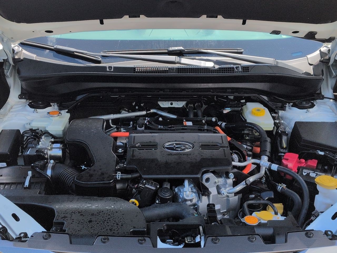 Thumbnail: 2026 Subaru Forester - 15