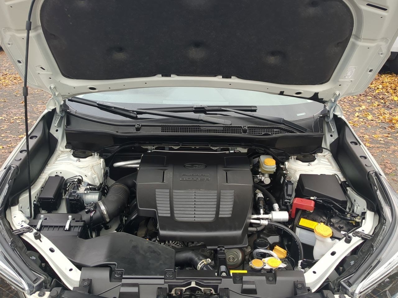 Thumbnail: 2021 Subaru Forester - 15