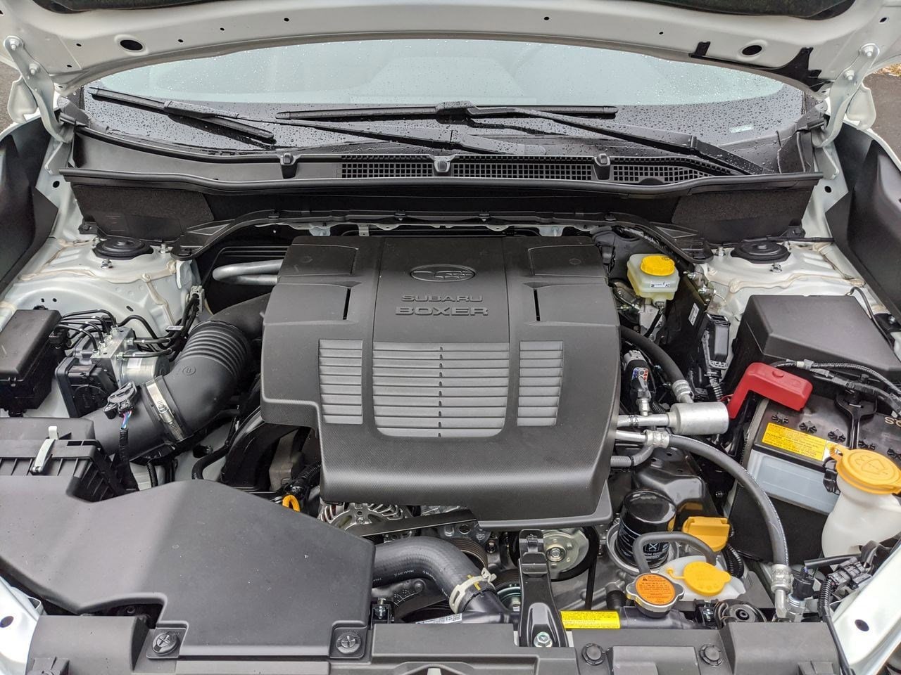 Thumbnail: 2023 Subaru Forester - 22