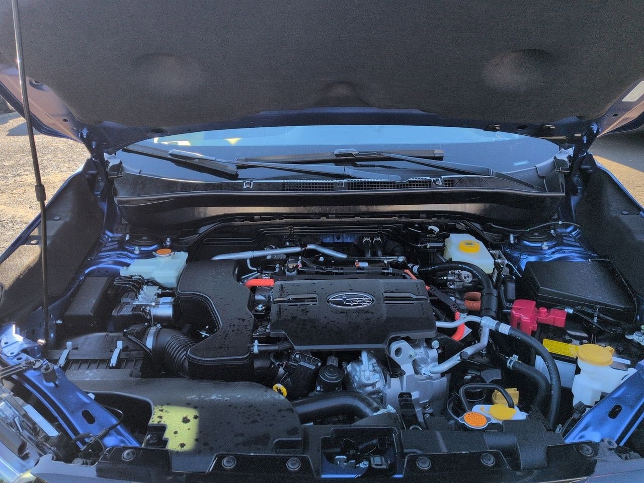 Thumbnail: 2025 Subaru Forester - 15