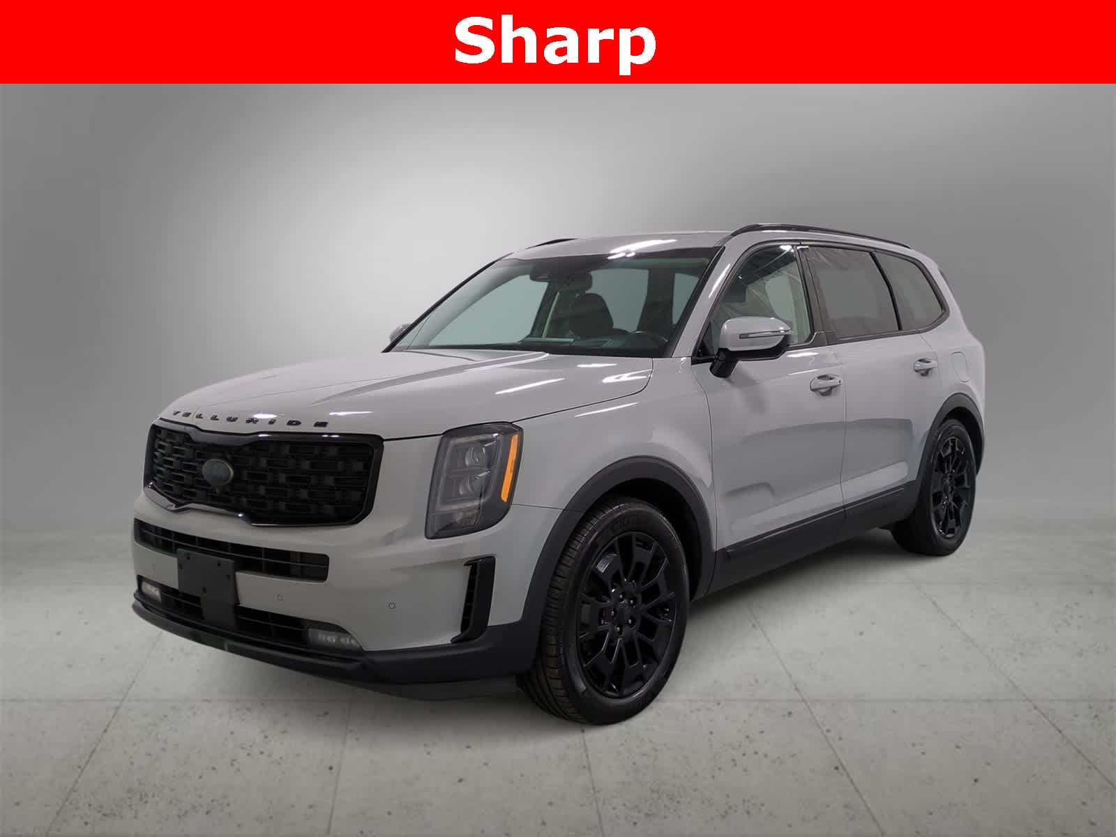 2021 Kia Telluride SX -
                  Farmington Hills, MI