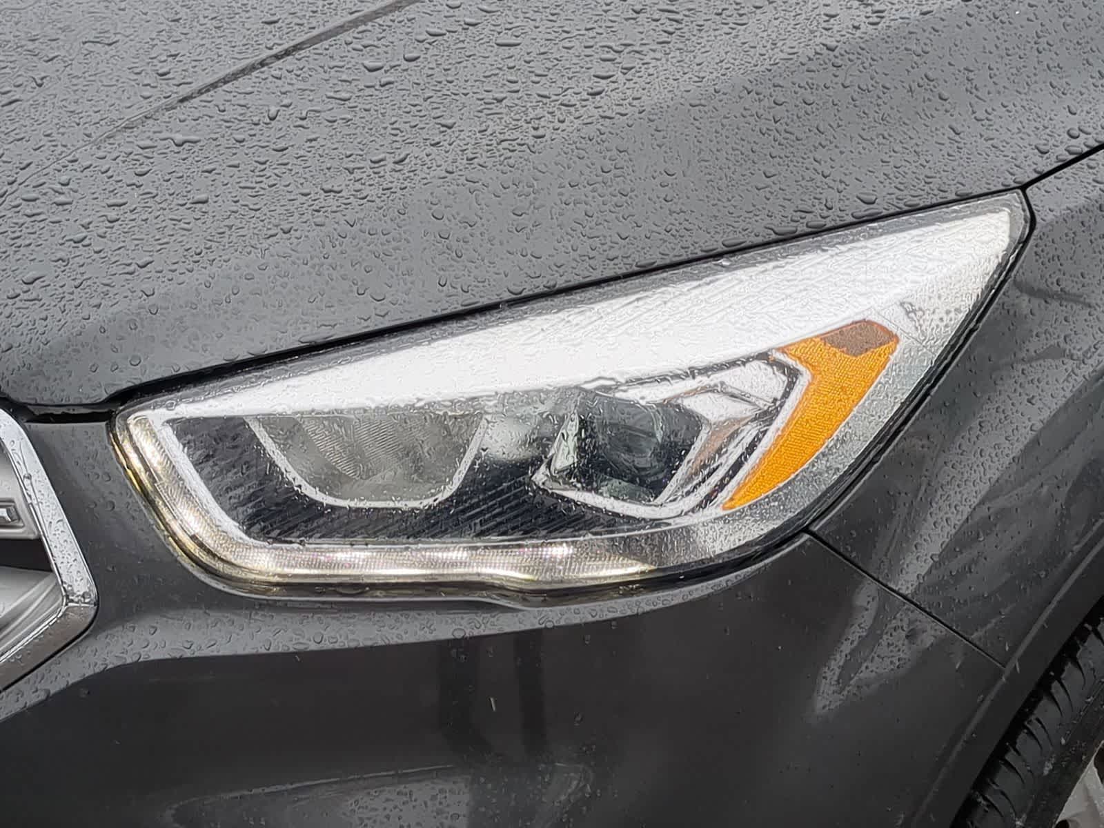 Thumbnail: 2019 Ford Escape - 14