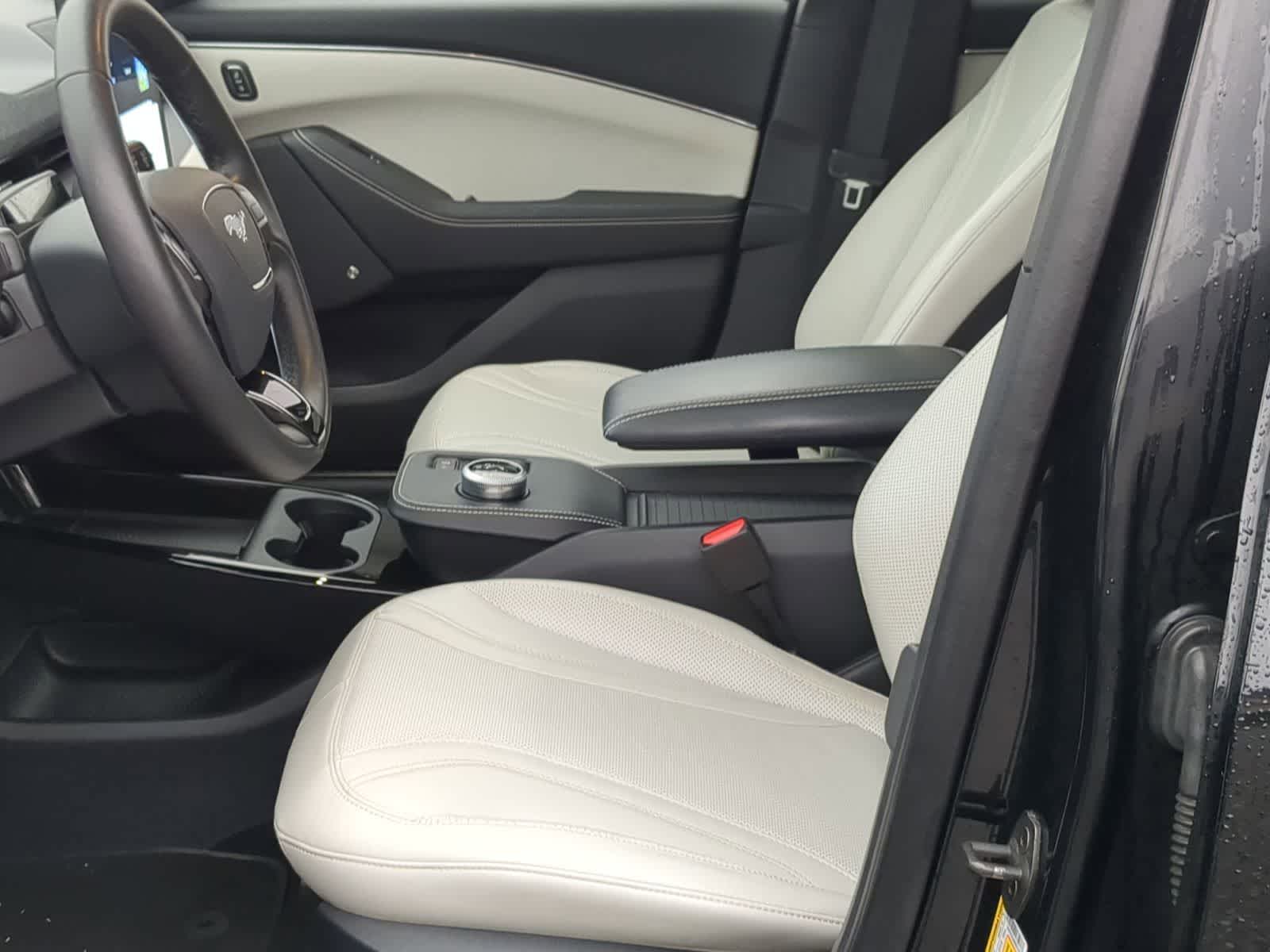 Thumbnail: 2021 Ford Mustang Mach-E - 20