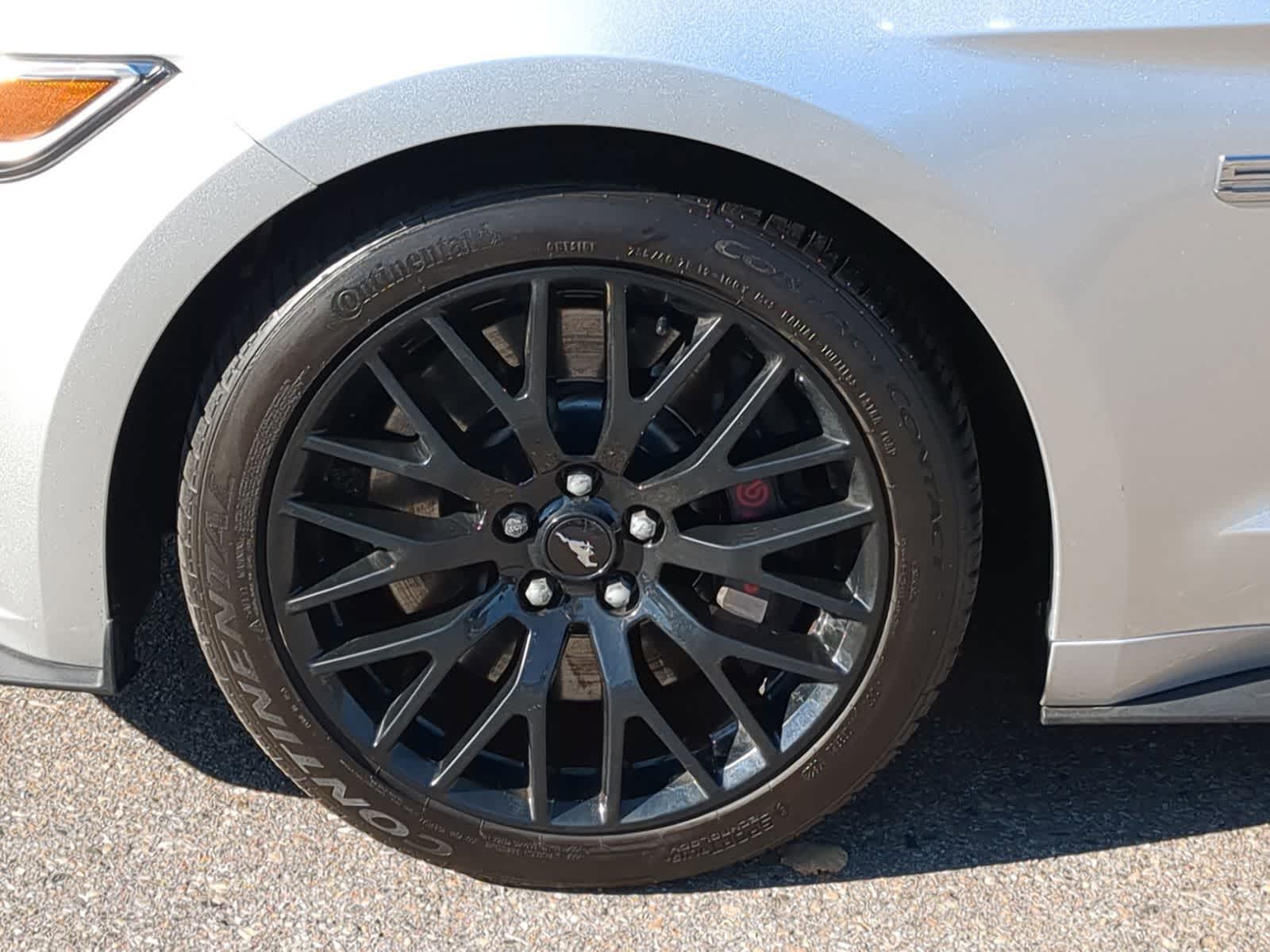 Thumbnail: 2016 Ford Mustang - 18