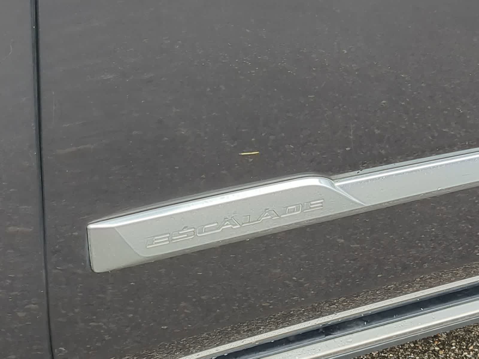 Thumbnail: 2017 Cadillac Escalade - 18