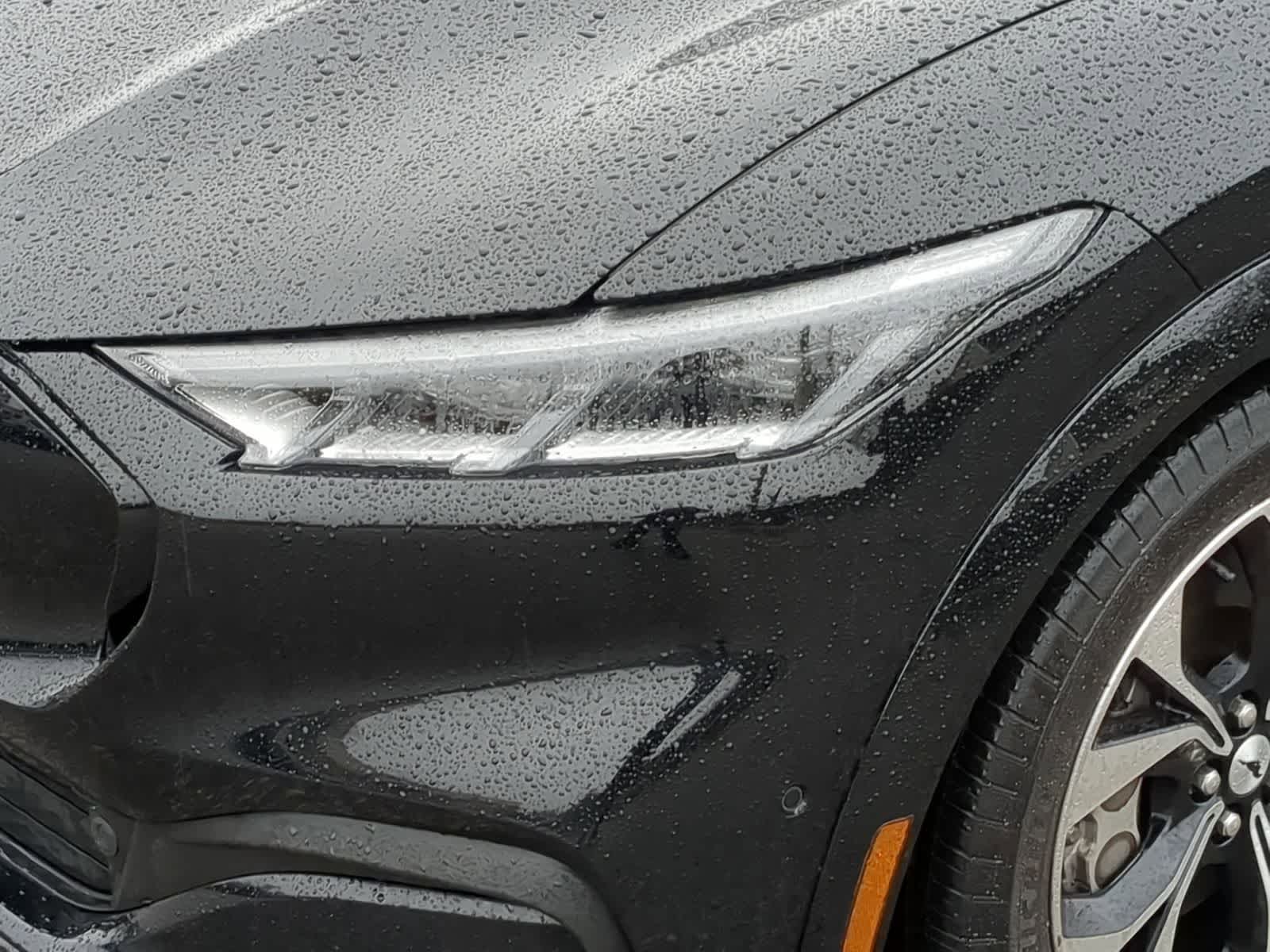 Thumbnail: 2021 Ford Mustang Mach-E - 15