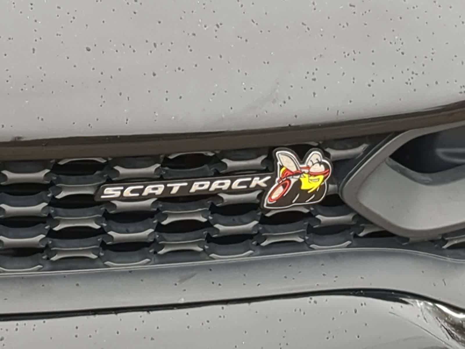 Thumbnail: 2019 Dodge Charger - 14