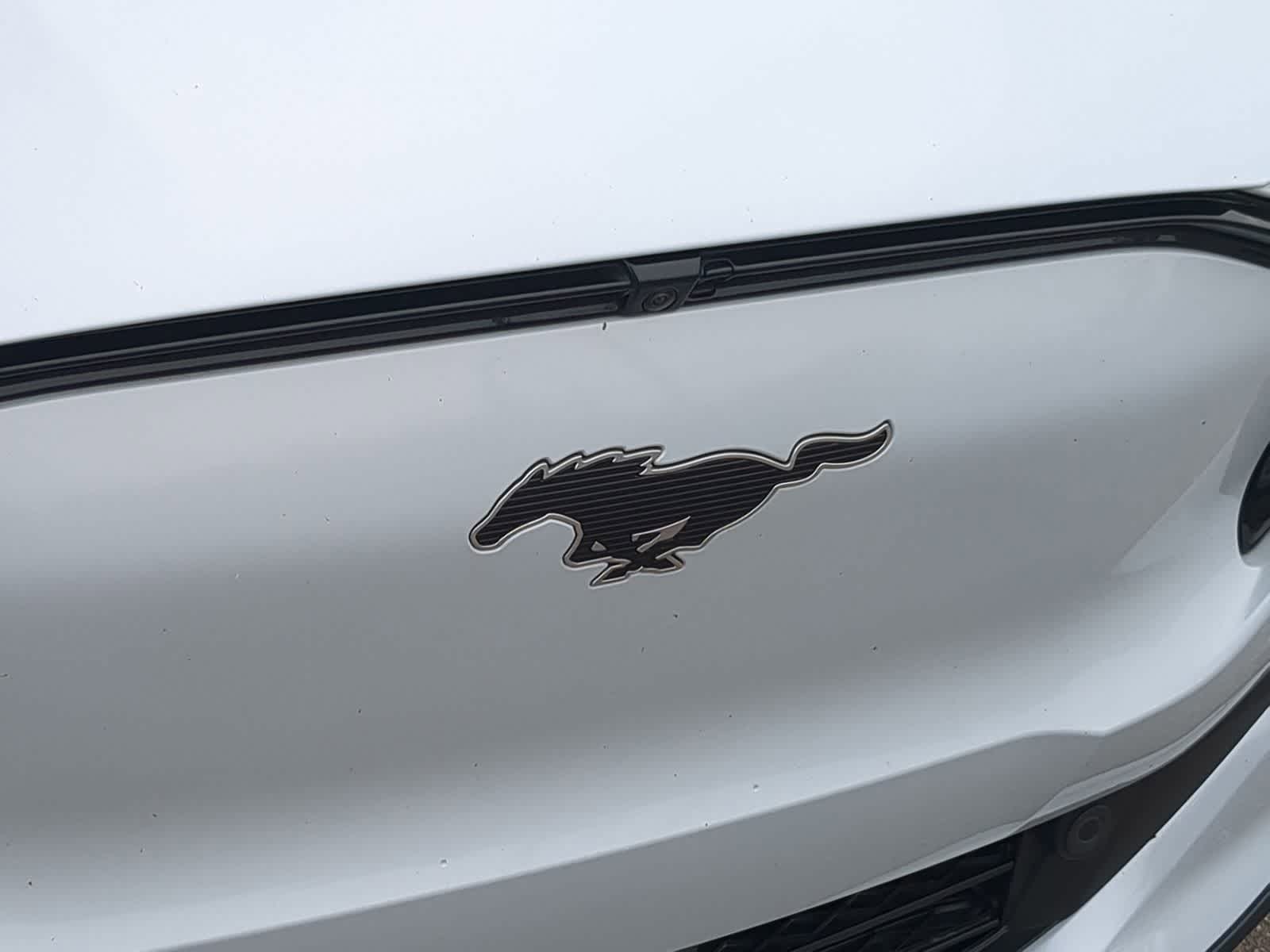 2021 Ford Mustang Mach-E Premium 16